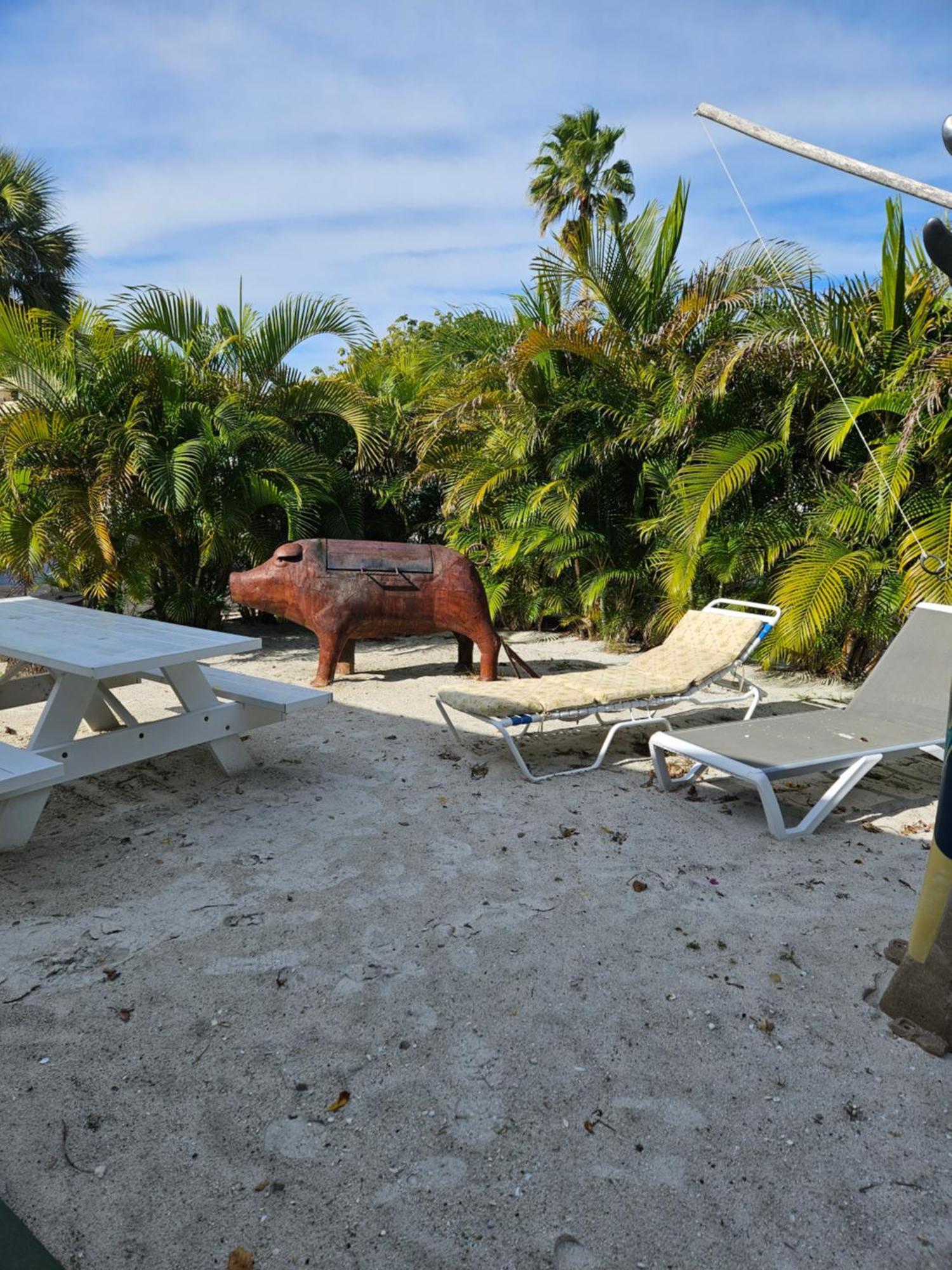 Oasis Palms Resort St. Pete Beach Exterior photo